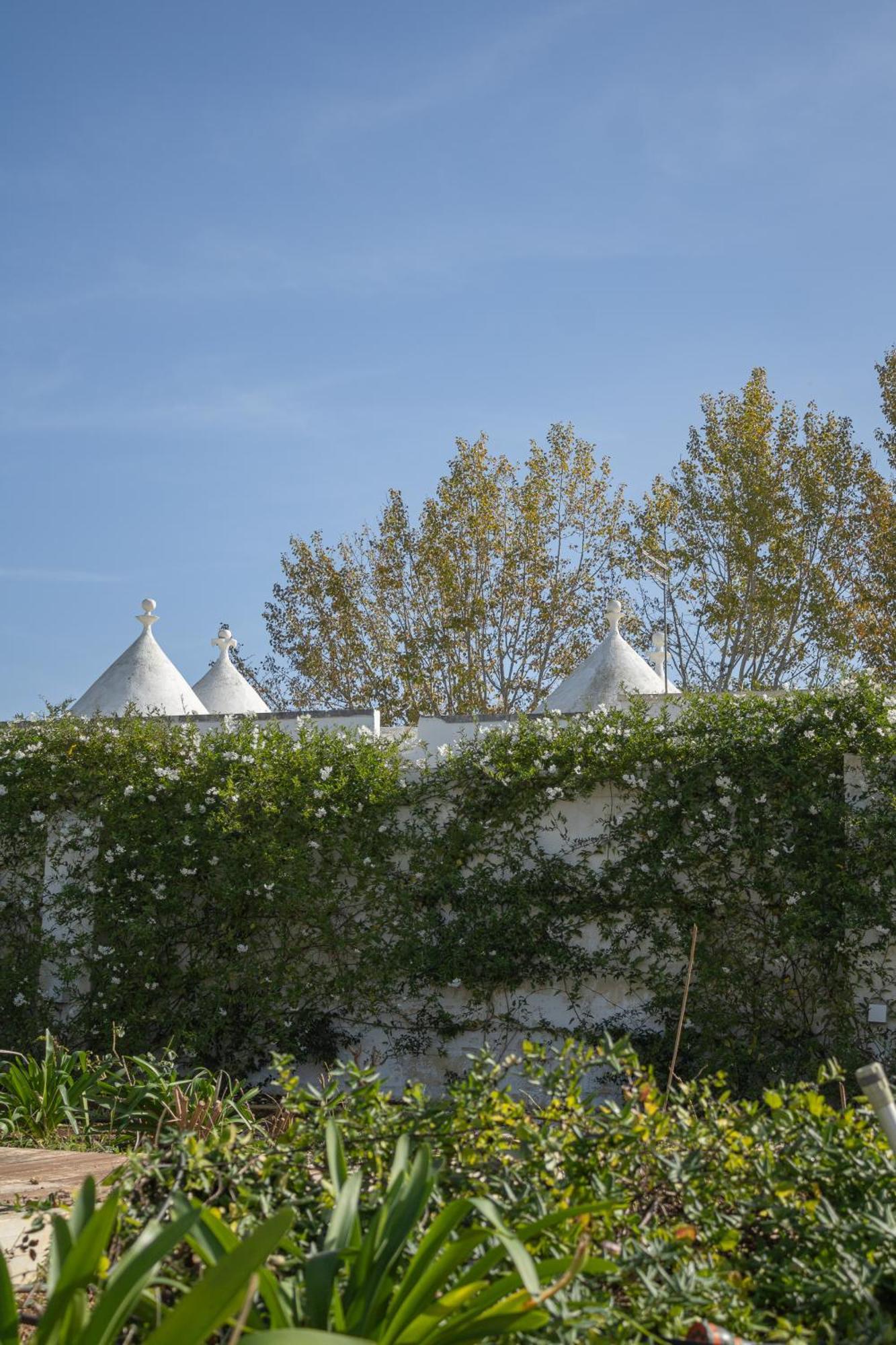 Ada-trulli&luxury *