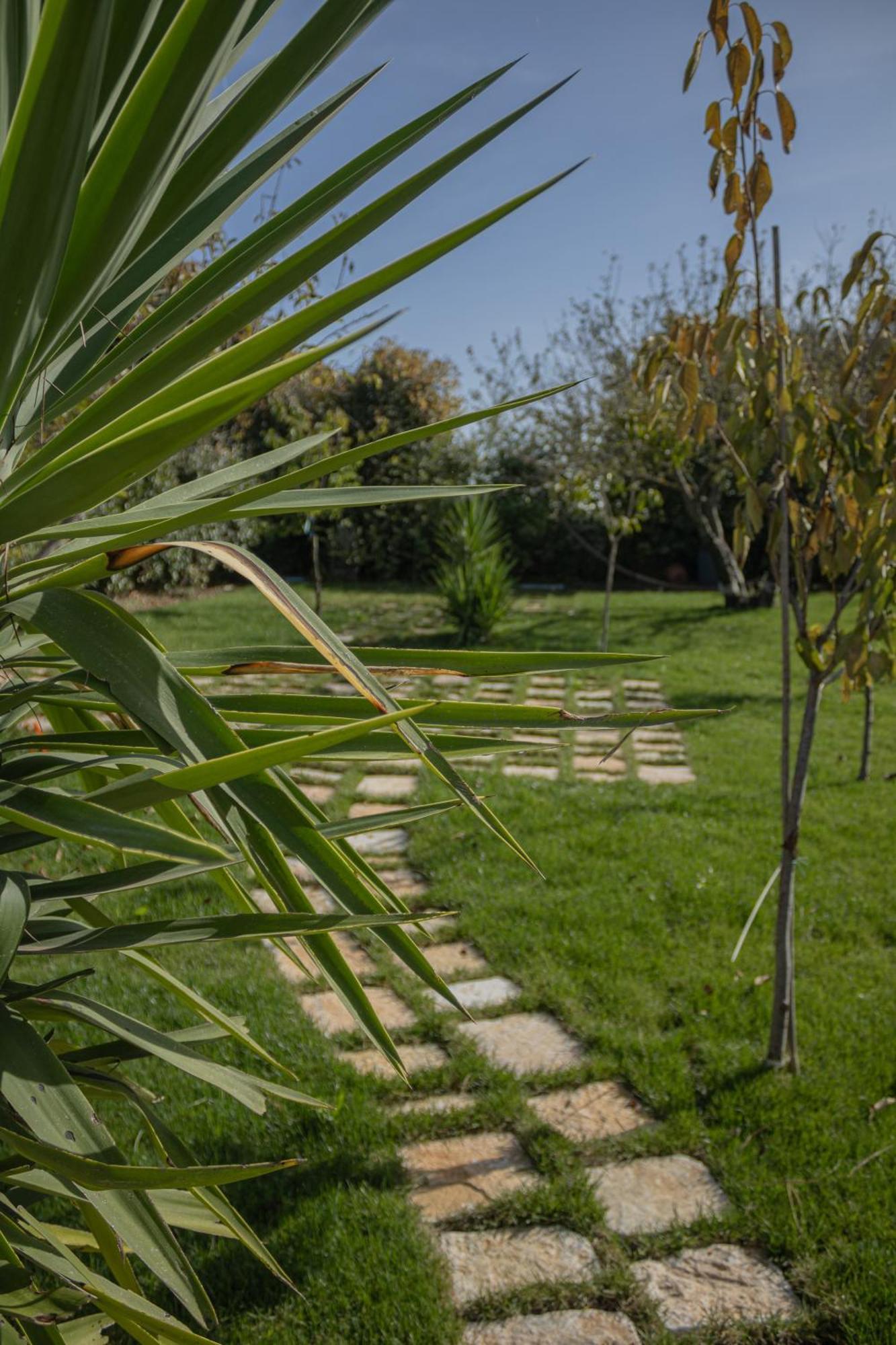 Ada-trulli&luxury *